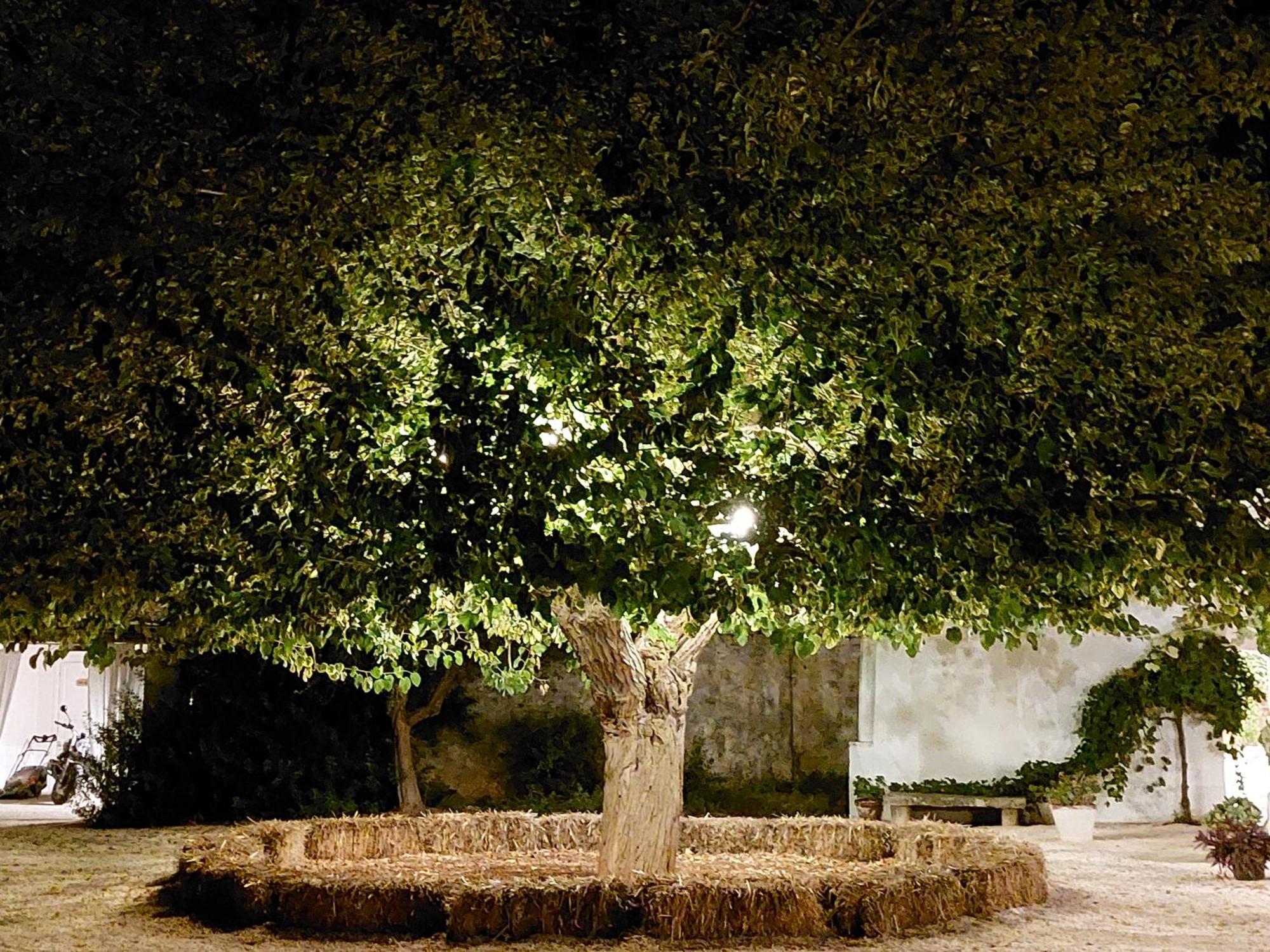 Bed and Breakfast Masseria San Martino Polignano a Mare Exterior foto