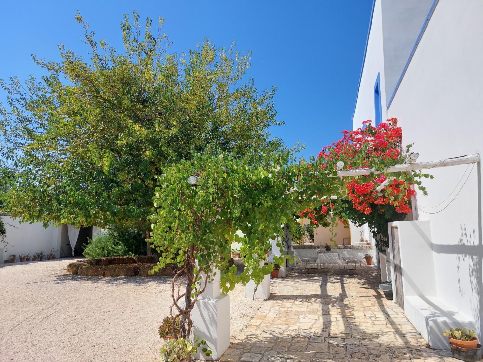 Bed and Breakfast Masseria San Martino Polignano a Mare Exterior foto